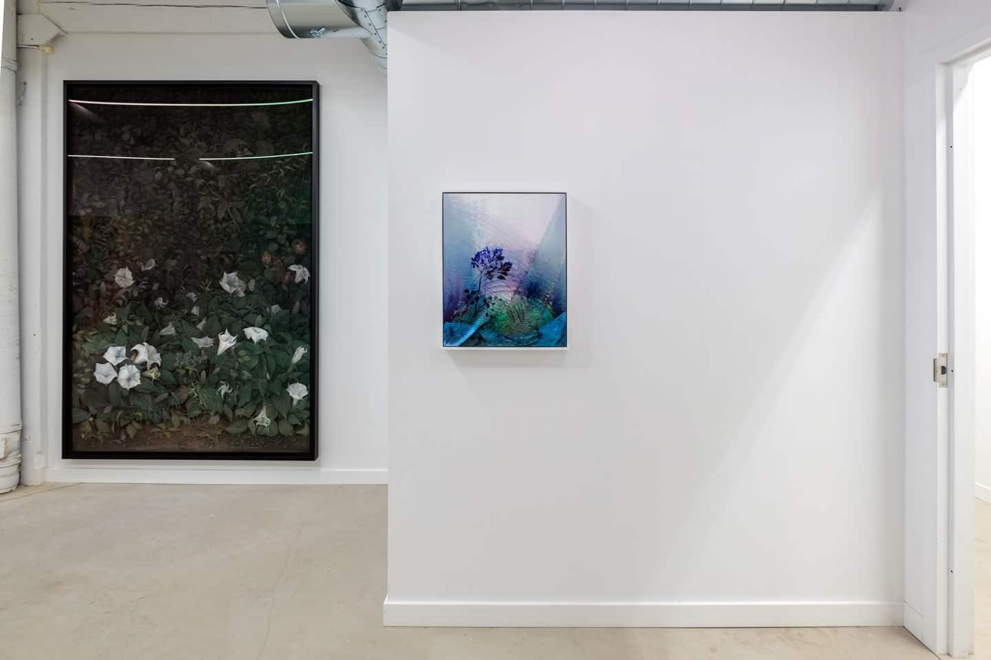 Giving Entry at NAMARA projects